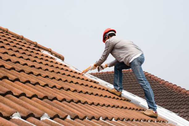 Best Roof Installation  in Indian Hills, NV